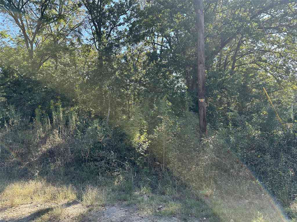 Vacant Land For Sale - 102 Navarro Drive<br/> Mabank, TX 75156