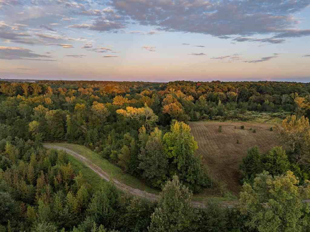 Vacant Land For Sale - TBD Fm 1998<br/> Harrison County, Karnack, TX 75661