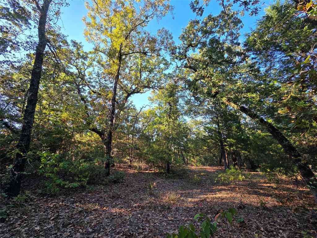 Vacant Land For Sale - LOT 466 Cr-4710<br/> Henderson County, Larue, TX 75770