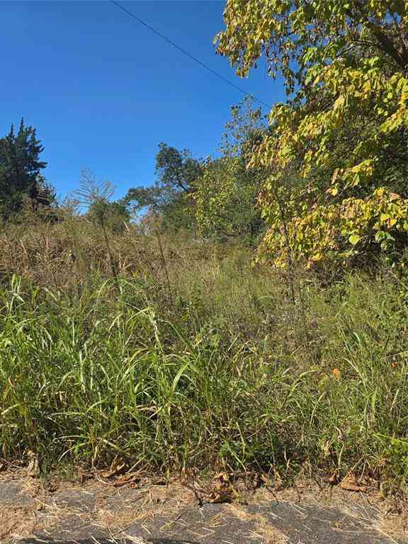Vacant Land For Sale - 1451 NE 11th<br/> Lamar County, Paris, TX 75460