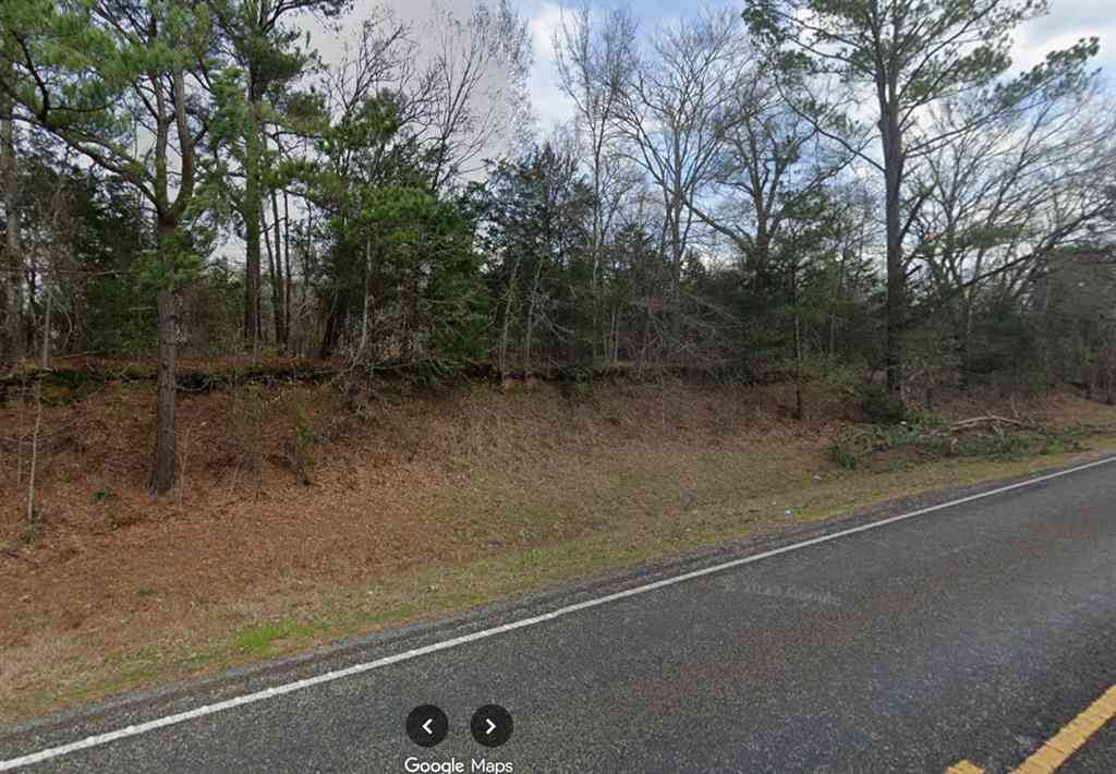 Vacant Land For Sale - 6090 Fm 314 S<br/> Larue, TX 75770