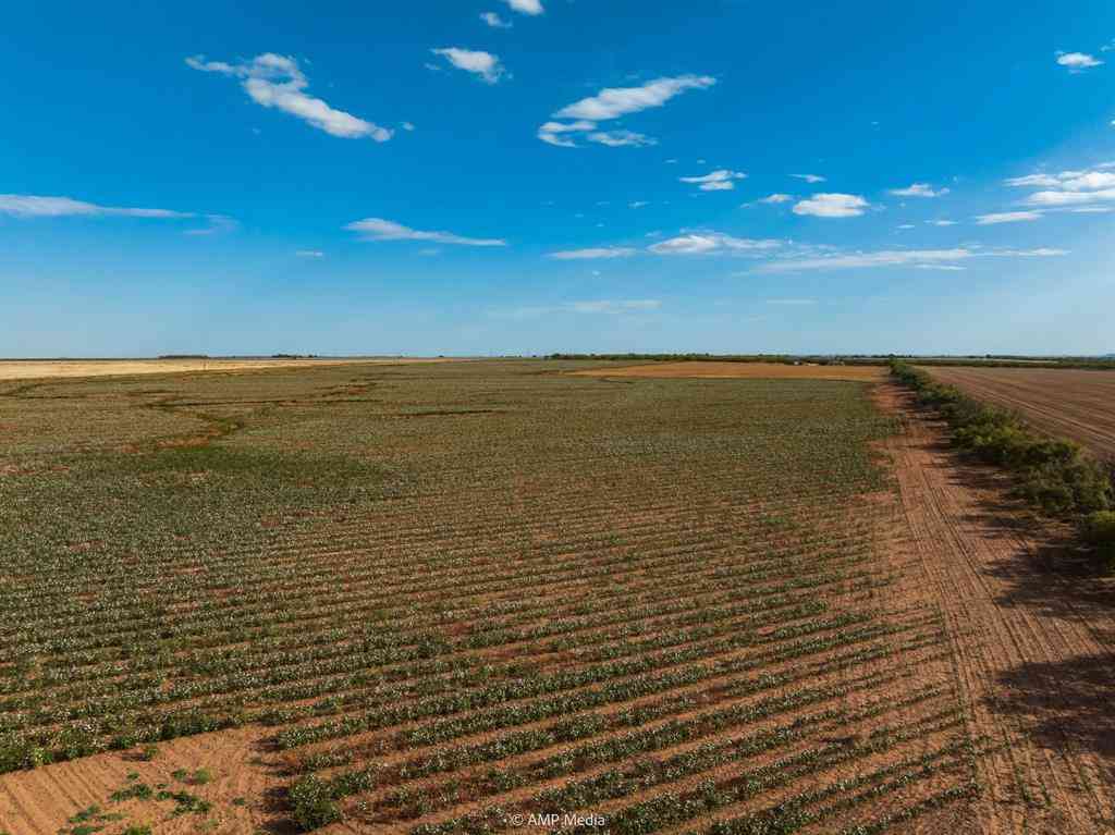 Vacant Land For Sale - 000 Cr 432<br/> Jones County, Merkel, TX 79536