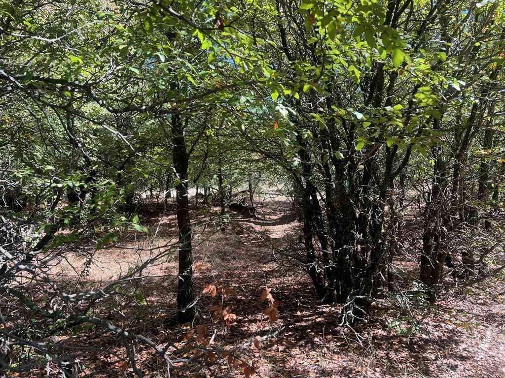 Vacant Land For Sale - TBD Uselton Road<br/> Young County, Loving, TX 76460
