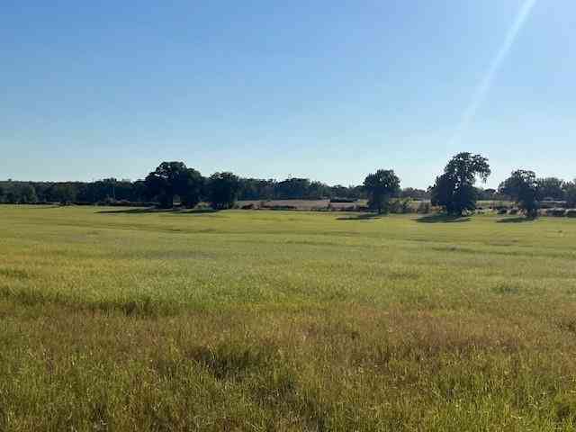 Vacant Land For Sale - 3733 Fm-52<br/> Palo Pinto County, Graford, TX 76449