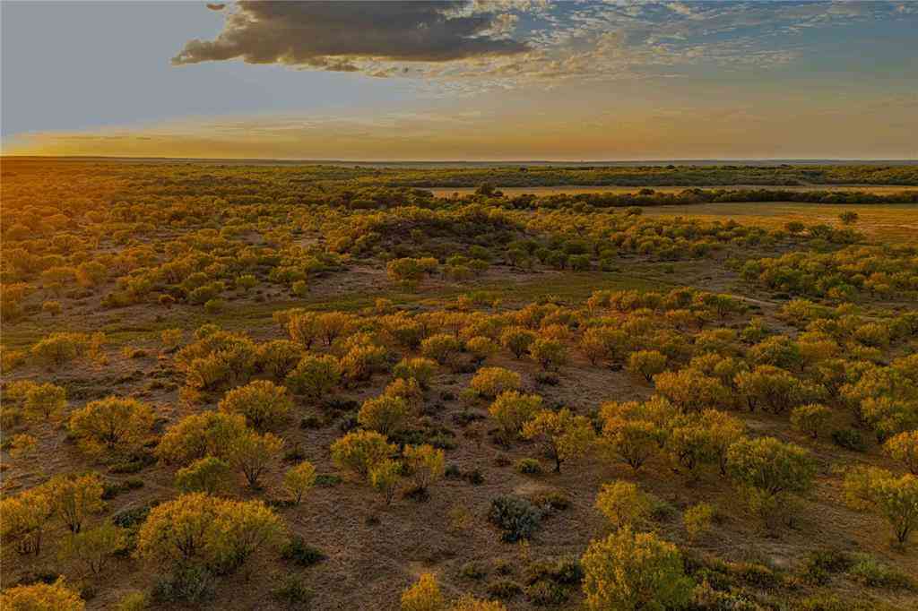 Vacant Land For Sale - 10579 Private Road 3151<br/> Callahan County, Moran, TX 76464