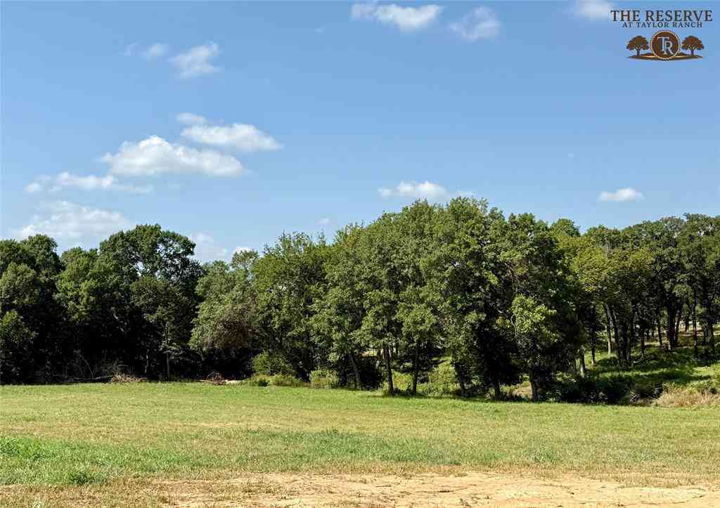 Vacant Land For Sale - LOT 42 Colt Road<br/> Springtown, TX 76082