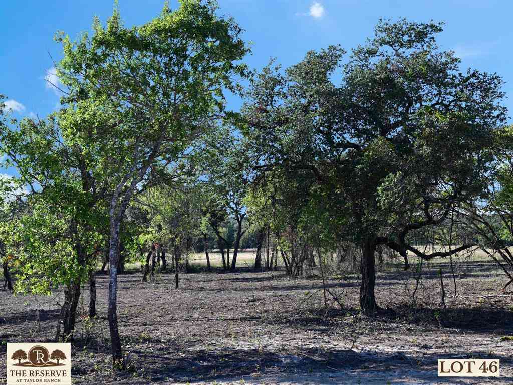 Vacant Land For Sale - LOT 46 Colt Road<br/> Springtown, TX 76082