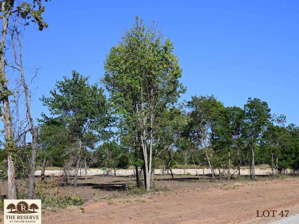 Vacant Land For Sale - LOT 47 Colt Road<br/> Springtown, TX 76082