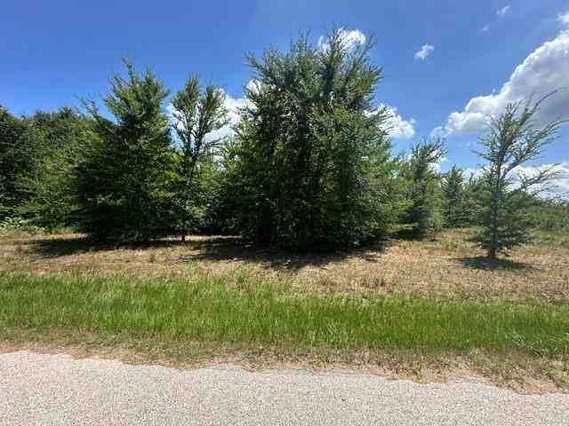 Vacant Land For Sale - 527 Tahiti Lane<br/> Henderson County, Tool, TX 75143