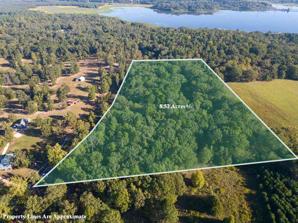 Vacant Land For Sale - 1 County Road 2600<br/> Mount Pleasant, TX 75455