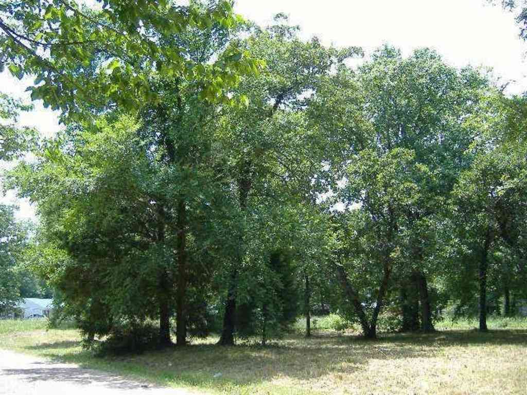 Vacant Land For Sale - 66 Westwind Road<br/> Tool, TX 75143