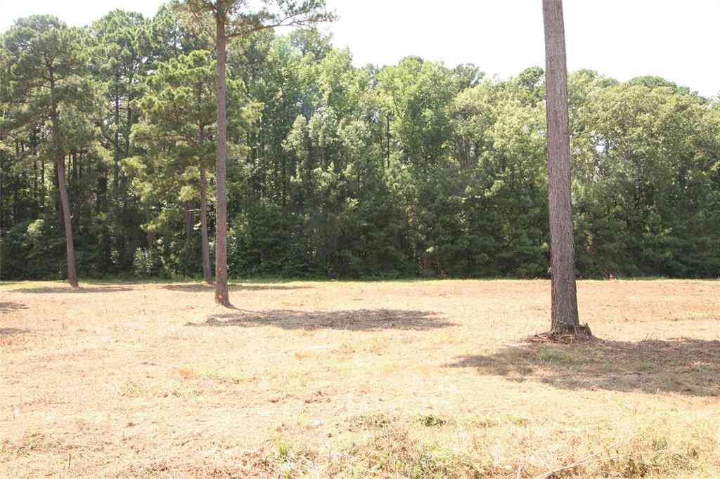 Vacant Land For Sale - LOT 4 Peaceful Pines<br/> Vivian, LA 71082