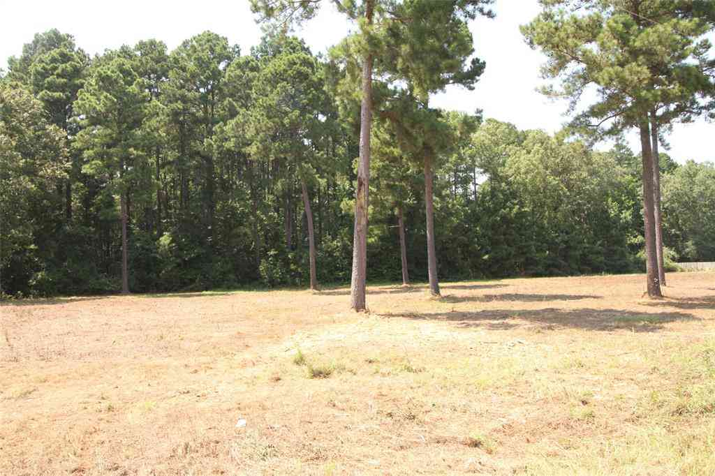 Vacant Land For Sale - LOT 6 Peaceful Pines<br/> Vivian, LA 71082