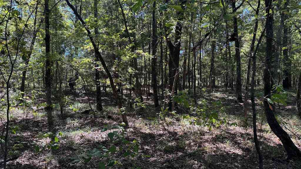 Vacant Land For Sale - 75 County Road 2115<br/> Bagwell, TX 75412