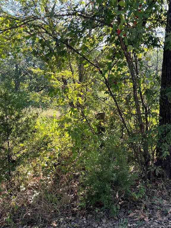 Vacant Land For Sale - 00 Pinewood Drive<br/> Hunt County, Hawk Cove, TX 75474