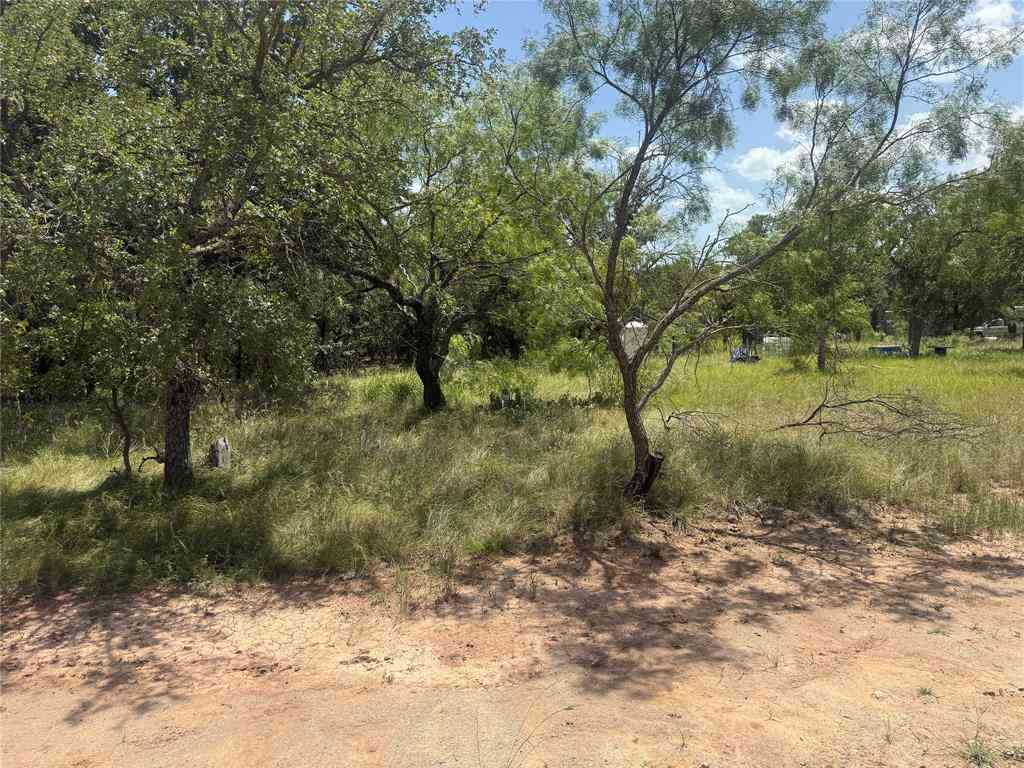 Vacant Land For Sale - TBD (LOT 691) S Lakes Drive<br/> Brown County, May, TX 76857