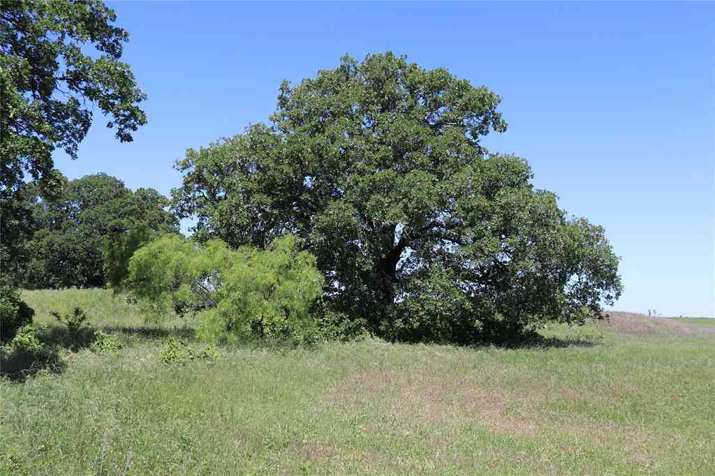 Vacant Land For Sale - 73 ACRES WEST Deer Creek Rd<br/> Clay County, Henrietta, TX 76365