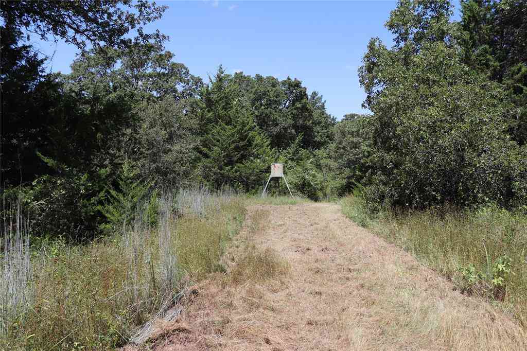 Vacant Land For Sale - 36 ACRES Fm 1749<br/> Montague County, Sunset, TX 76270