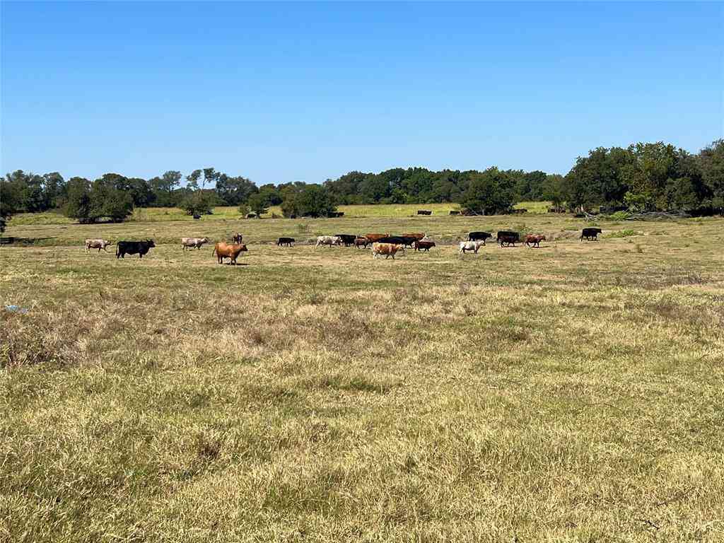 Vacant Land For Sale - TBD 1368 ACRES Lowell Road<br/> Ellis County, Milford, TX 76670