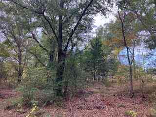 Vacant Land For Sale - TBD LOT 16 Westwood Drive<br/> Trinidad, TX 75163