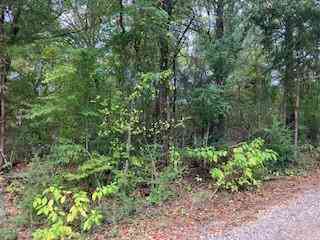 Vacant Land For Sale - TBD LOT 17 Westwood Drive<br/> Trinidad, TX 75163