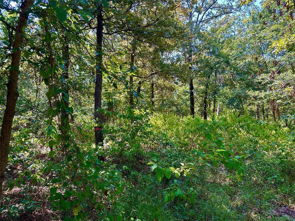 Vacant Land For Sale - 0000 County Road 3641<br/> Sulphur Springs, TX 75482