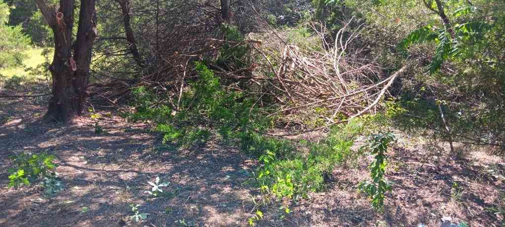 Vacant Land For Sale - TWB County 3114 Road NW<br/> Navarro County, Purdon, TX 76679