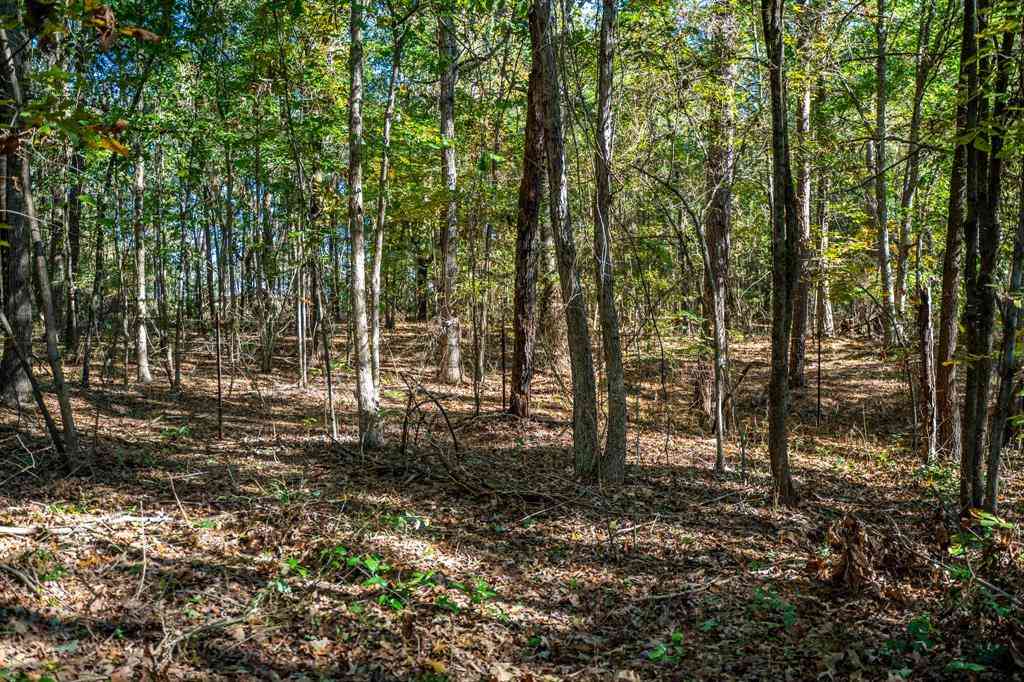 Vacant Land For Sale - 000 County Road 4105<br/> Morris County, Daingerfield, TX 75638