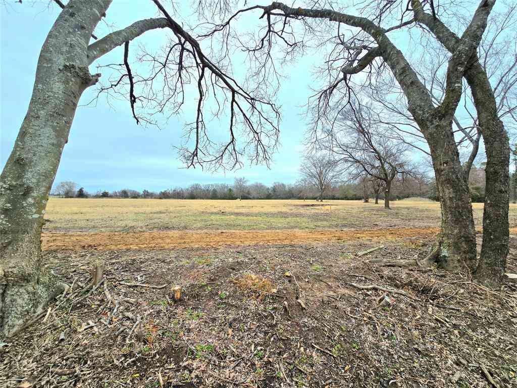 Vacant Land For Sale - TBD LOT 4 Cr 2245<br/> Rains County, Emory, TX 75440