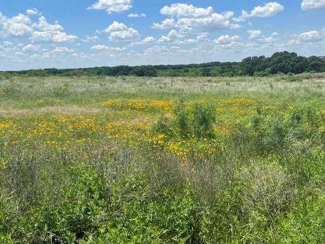 Vacant Land For Sale - TBD Cr 333<br/> Brown County, Blanket, TX 76432