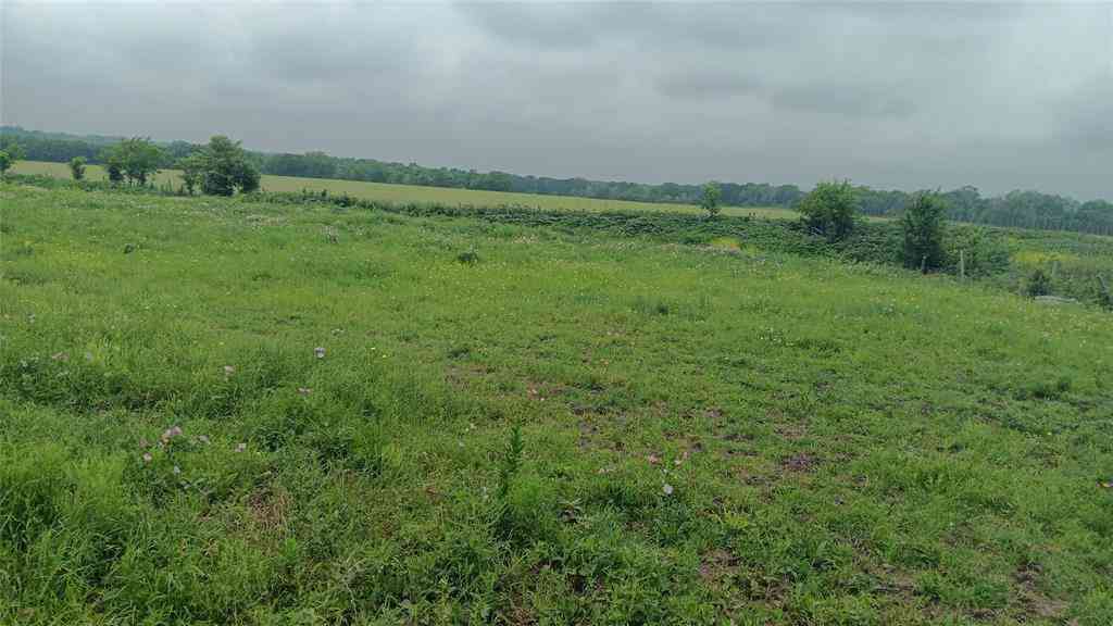 Vacant Land For Sale - TBD Cr494 N<br/> Falls County, Chilton, TX 76632