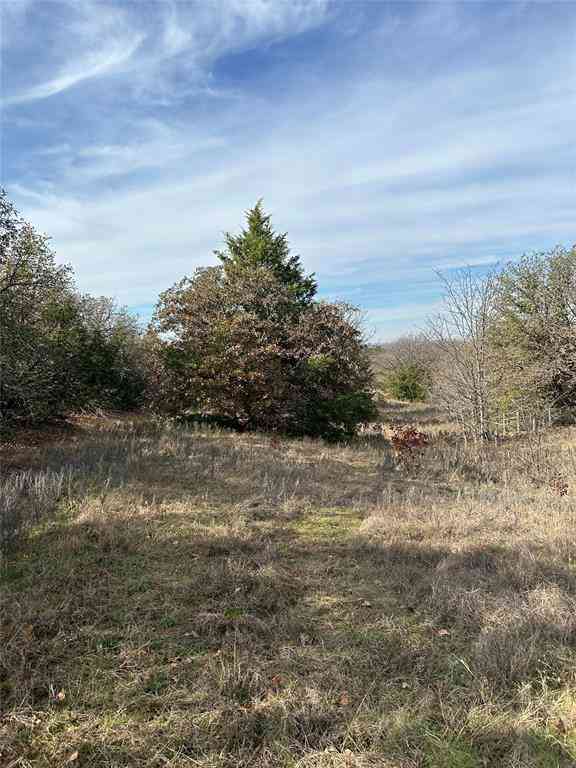 Vacant Land For Sale - 1721 Prarie Grove Rd<br/> Cooke County, Valley View, TX 76272