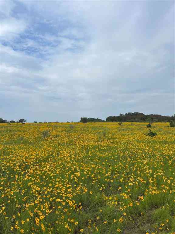 Vacant Land For Sale - 0000 Bison Ridge Drive #LOT 155<br/> Erath County, Stephenville, TX 76401