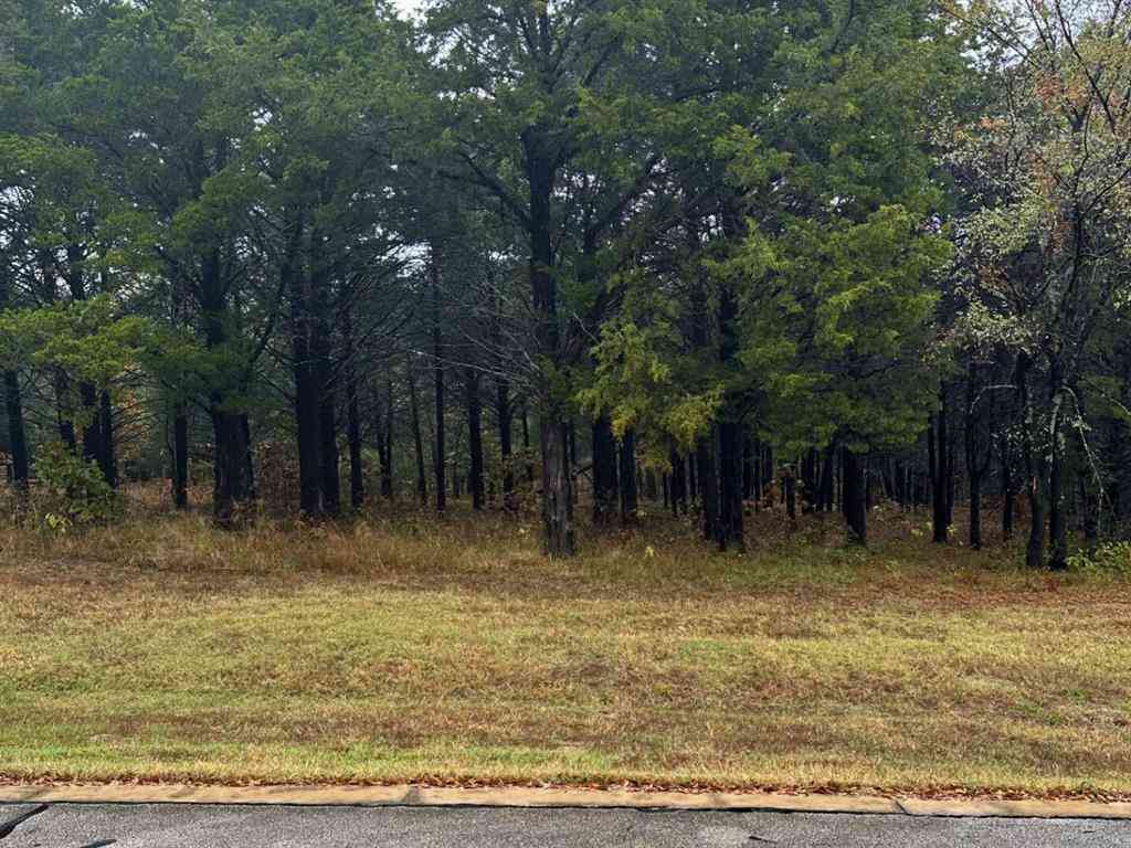 Vacant Land For Sale - 106 Barrington Circle<br/> Gordonville, TX 76245
