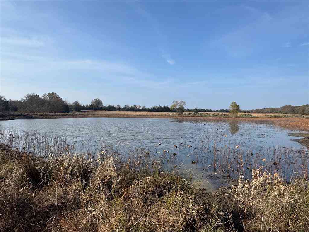 Vacant Land For Sale - 000 Fm 44<br/> Red River County, Annona, TX 75550