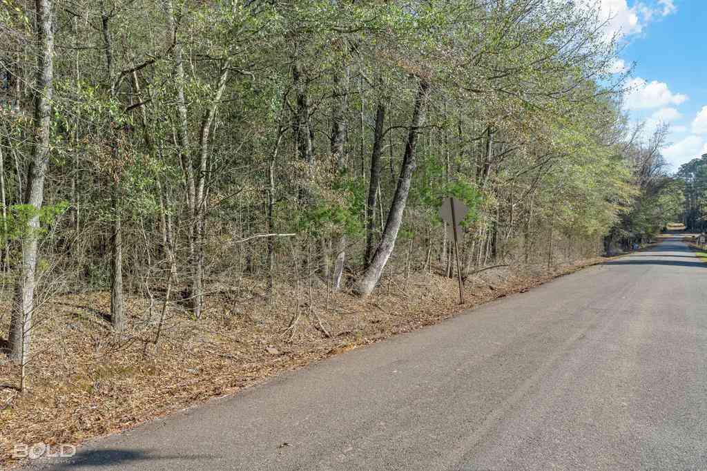 Vacant Land For Sale - LOT 7 Mockingbird Lane<br/> Bossier County, Plain Dealing, LA 71064