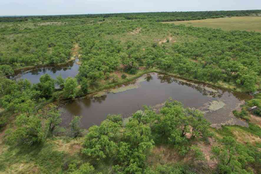 Vacant Land For Sale - TBD Fm 600<br/> Anson, TX 79501