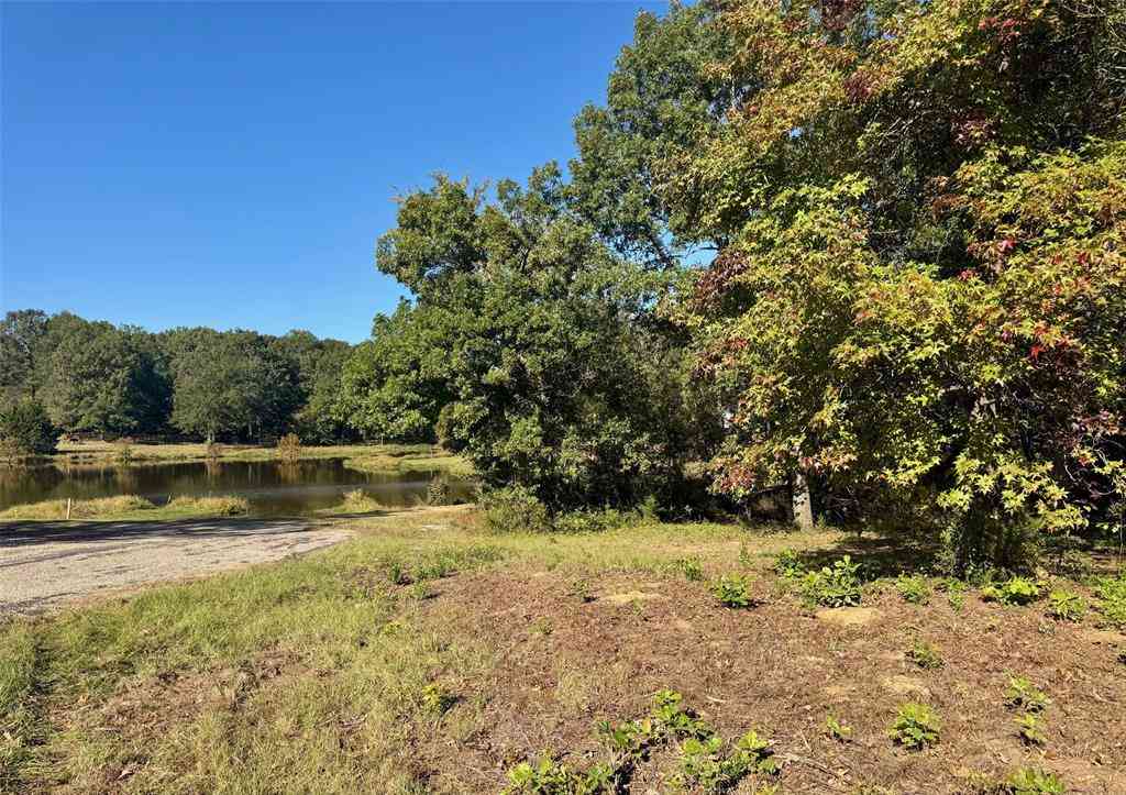 Vacant Land For Sale - LOT 18 County Road 1216<br/> Camp County, Pittsburg, TX 75686