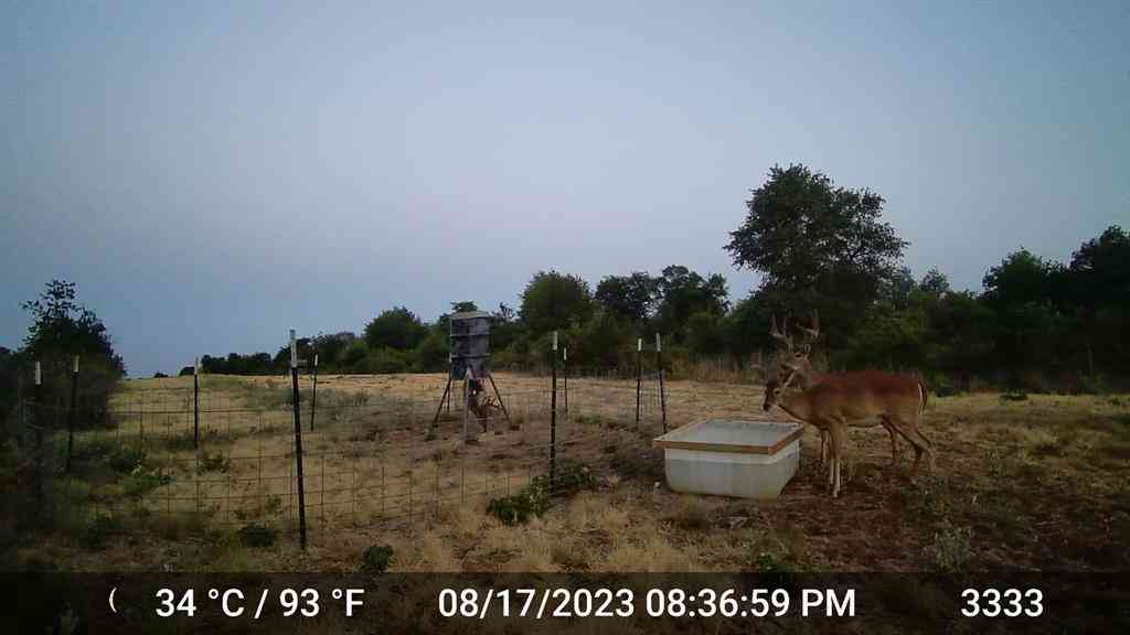 Vacant Land For Sale - 11653 Fm 1226 Parcel C<br/> Hawley, TX 79525
