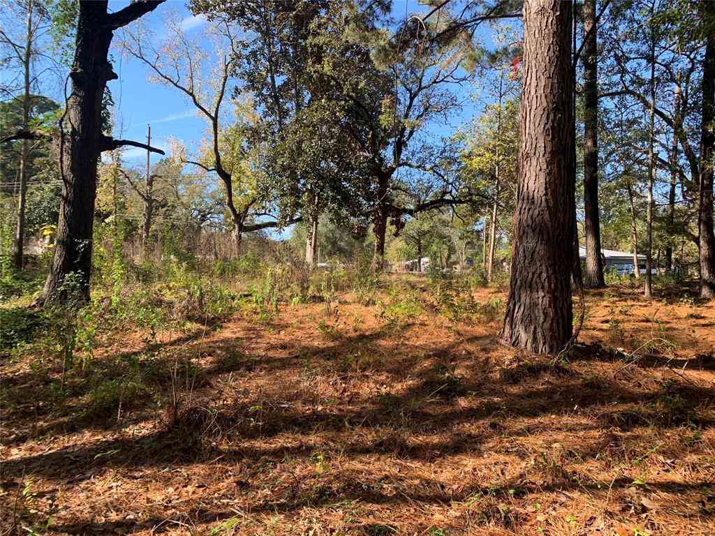 Vacant Land For Sale - 905 W Cayuga Drive<br/> Henderson County, Athens, TX 75751