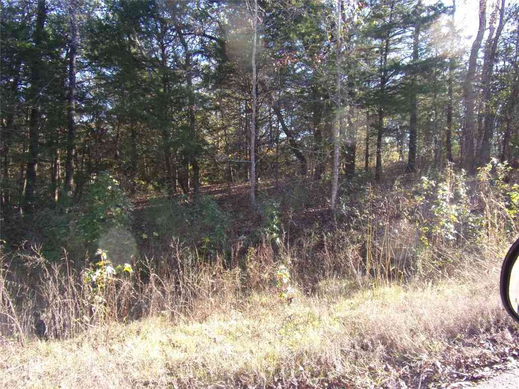 Vacant Land For Sale - 000 Woodcreek Drive<br/> Van Zandt County, Murchison, TX 75778