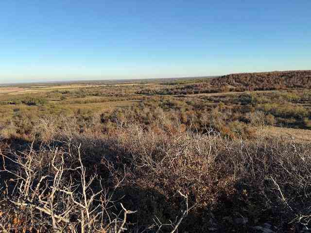 Vacant Land For Sale - TBD County Road 436<br/> Brown County, Rising Star, TX 76471