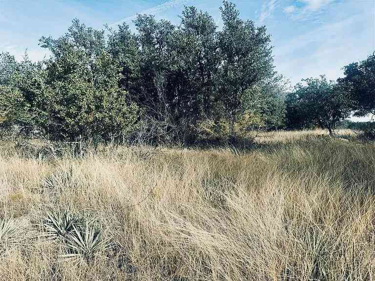Vacant Land For Sale - 194 Willie B Drive<br/> Brownwood, TX 76801