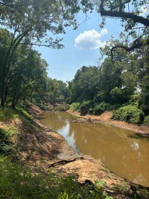 Vacant Land For Sale - Bodcau Station Road<br/> Haughton, LA 71037
