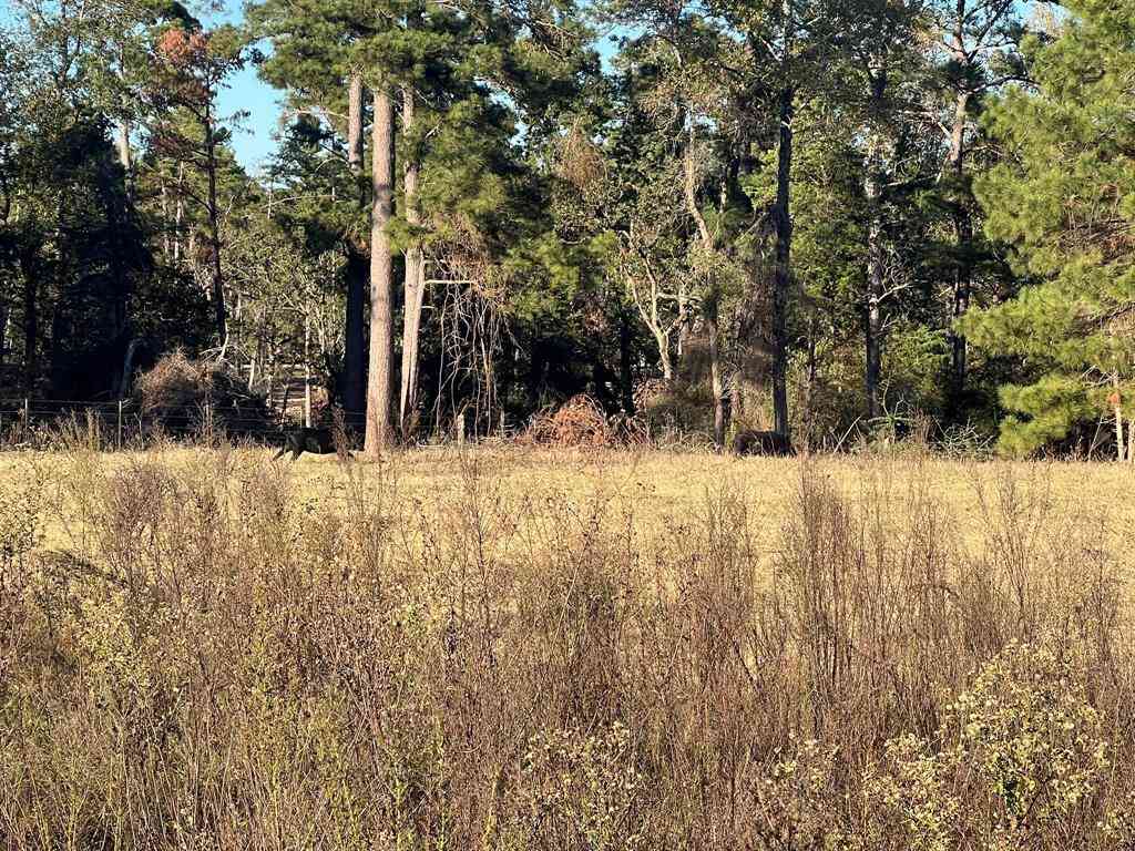 Vacant Land For Sale - TBD Pr 1315<br/> Centerville, TX 75833