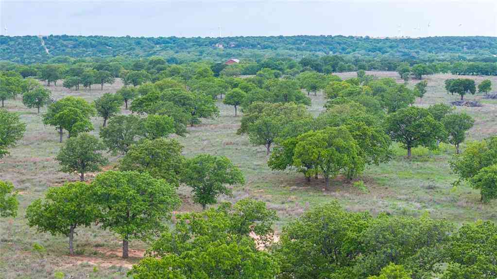 Vacant Land For Sale - 1034 County Road 207<br/> Ovalo, TX 79541
