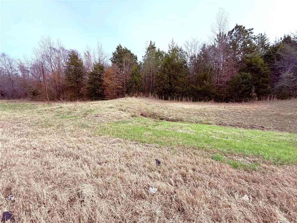 Vacant Land For Sale - 000 Hwy 37<br/> Wood County, Winnsboro, TX 75494