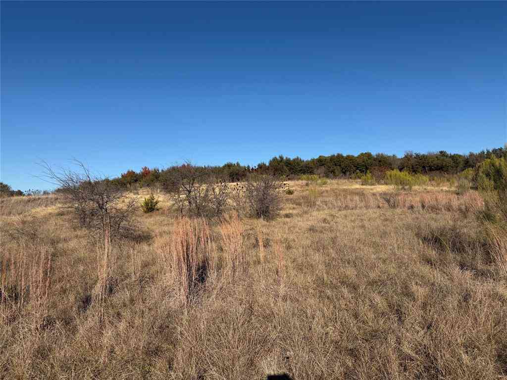 Vacant Land For Sale - 2365 Canyon Wren Loop<br/> Possum Kingdom Lake, TX 76449