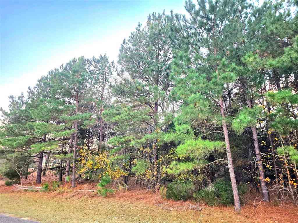Vacant Land For Sale - LOT 401 Mallard Way<br/> Henderson County, Larue, TX 75770