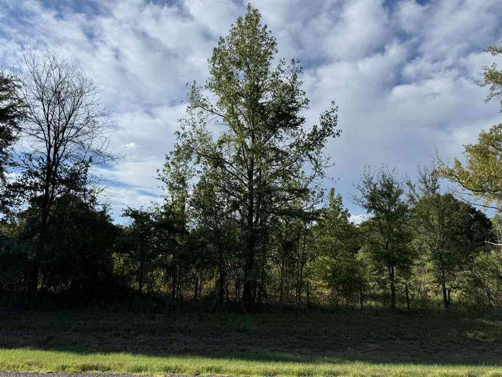 Vacant Land For Sale - TBD Fm 195<br/> Red River County, Bagwell, TX 75412